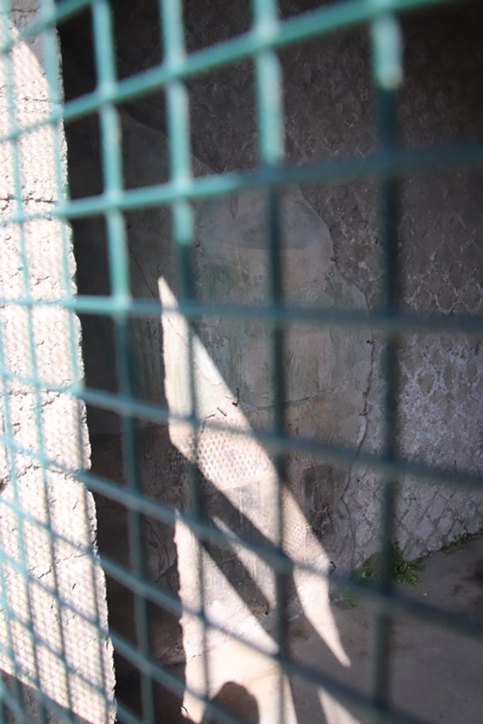 Herculaneum, October 2023.
Sacred Area terrace, looking west through doorway of the shrine of Venus.
Photo courtesy of Klaus Heese.
According to Maiuri –
The shrine was covered with a round vault, with walls and ceiling originally painted.
The flooring was of fine white tessellation with a black band.
The shrine was painted with grandiose topiary, perhaps interspersed with figures and emblems of one or more divinities to whom the chapel was dedicated.
The zoccolo (plinth/dado) with a black background (0.95m high) divided into panels filled with low bushes of large, lanceolate-leaved plants, and formed by a tall and thick reed-like barrier of a rich garden, on the green-blue background of the wall were bundles of palm trees and marble cups with drinking doves.
A large and precious remnant of the wall decoration remains on the short wall to the left of the door, and on the long wall on the eastern side.
From these fragments, we can obtain what the entire walls looked like.
See Maiuri, A. Ercolano, i nuovi scavi (1927-1958) (p.181-182).